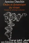 vignette